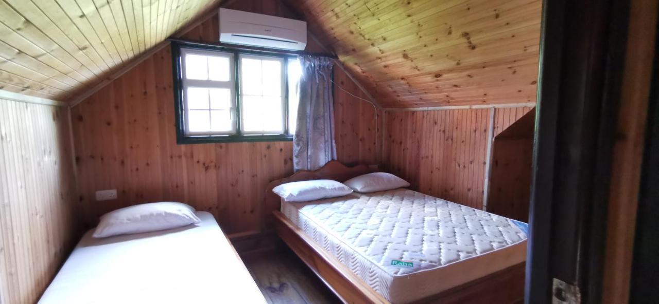 Chez Marva Grande Villa Corossol 3 A 12 Personnes 拉迪格岛 外观 照片