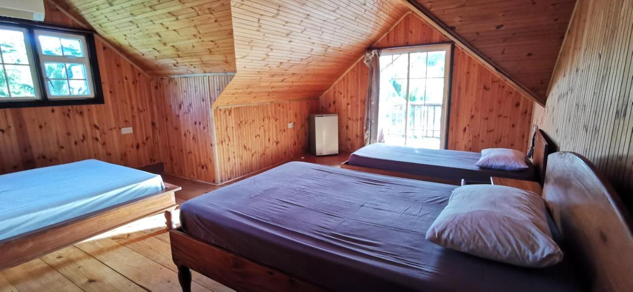 Chez Marva Grande Villa Corossol 3 A 12 Personnes 拉迪格岛 外观 照片